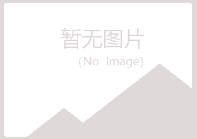 保靖县女孩出版有限公司